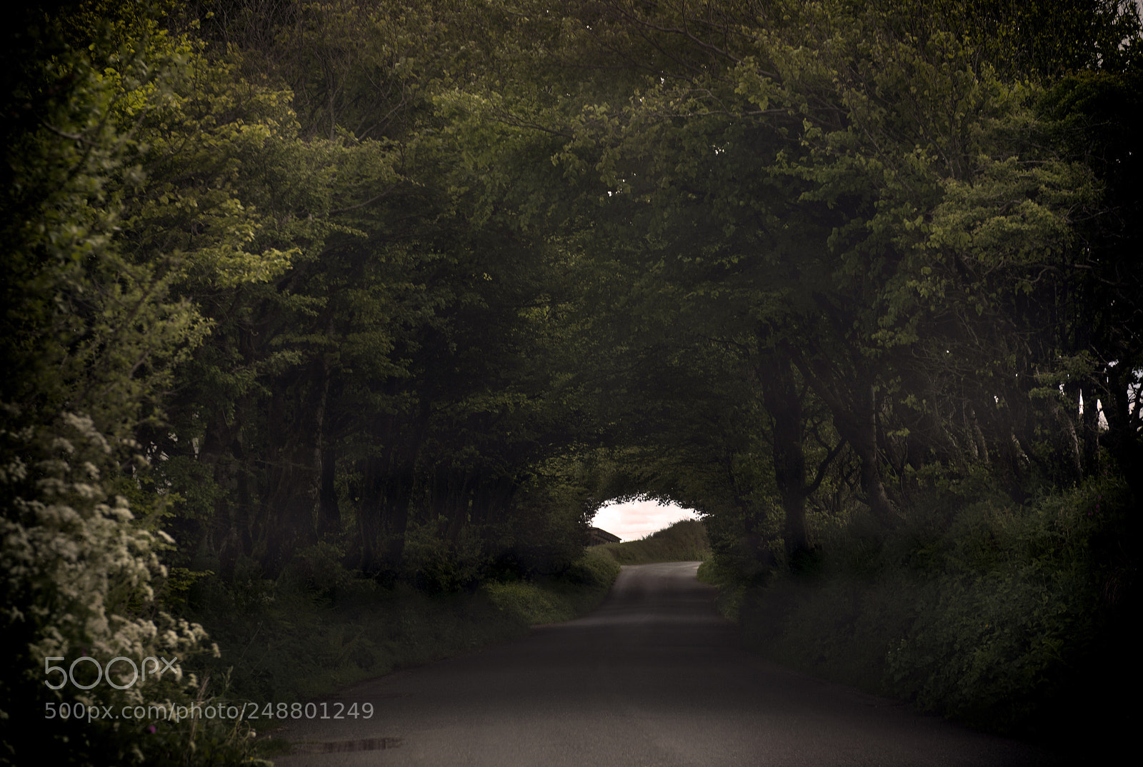 Nikon D810 sample photo. The hole in the photography