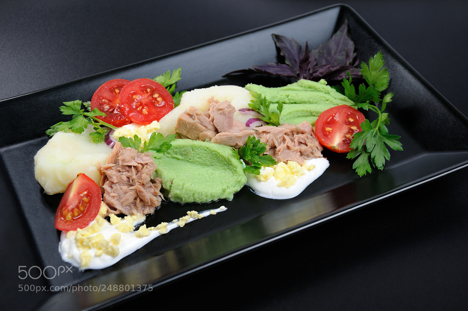 Nikon D90 sample photo. Tuna with garnish photography