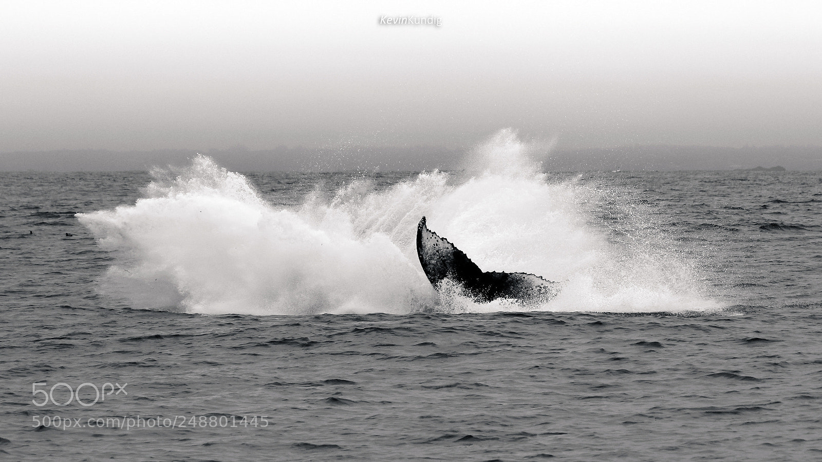 Canon EOS 60D sample photo. Splash photography
