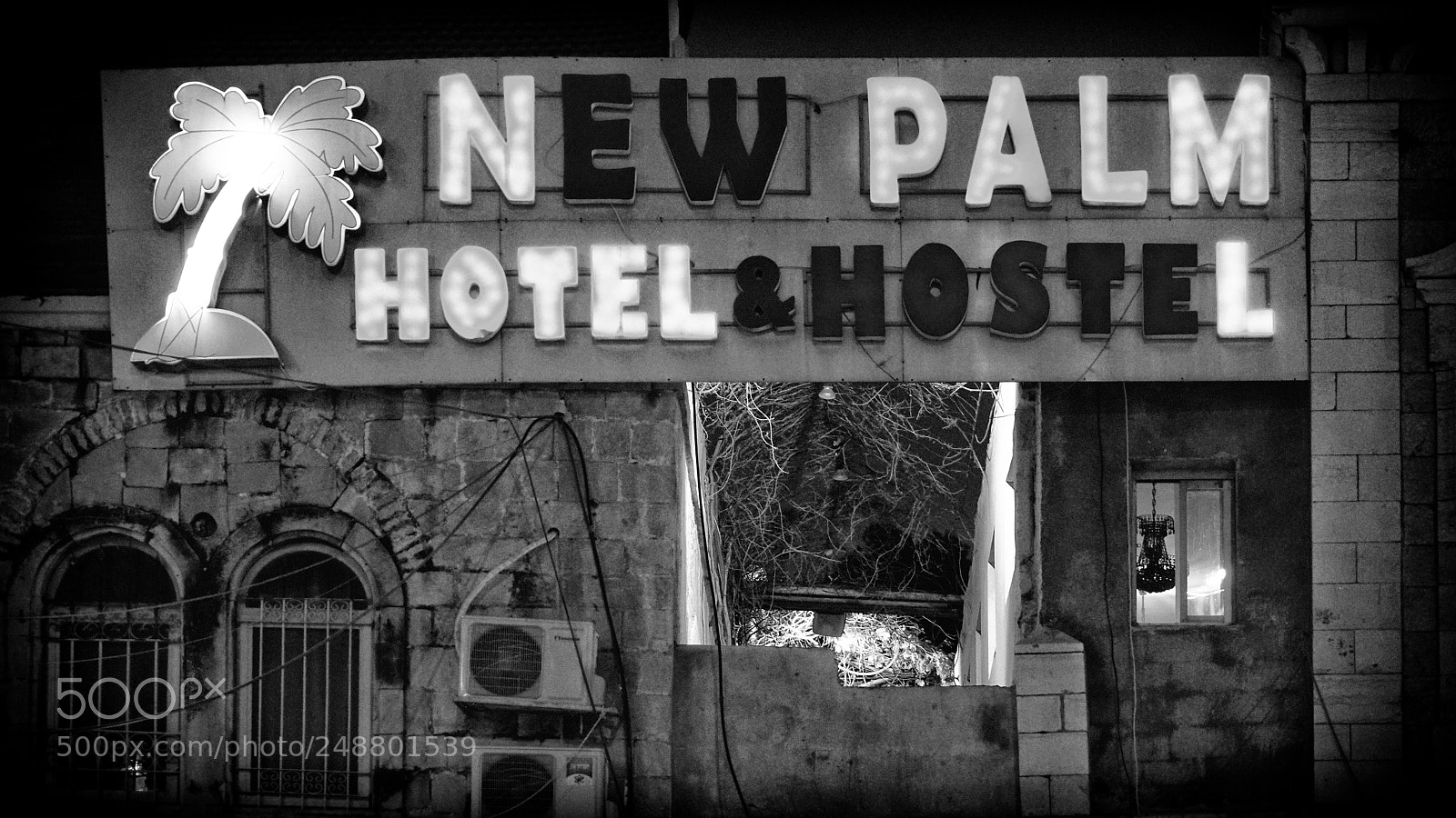 Sony a7R II sample photo. New palm hotel and photography