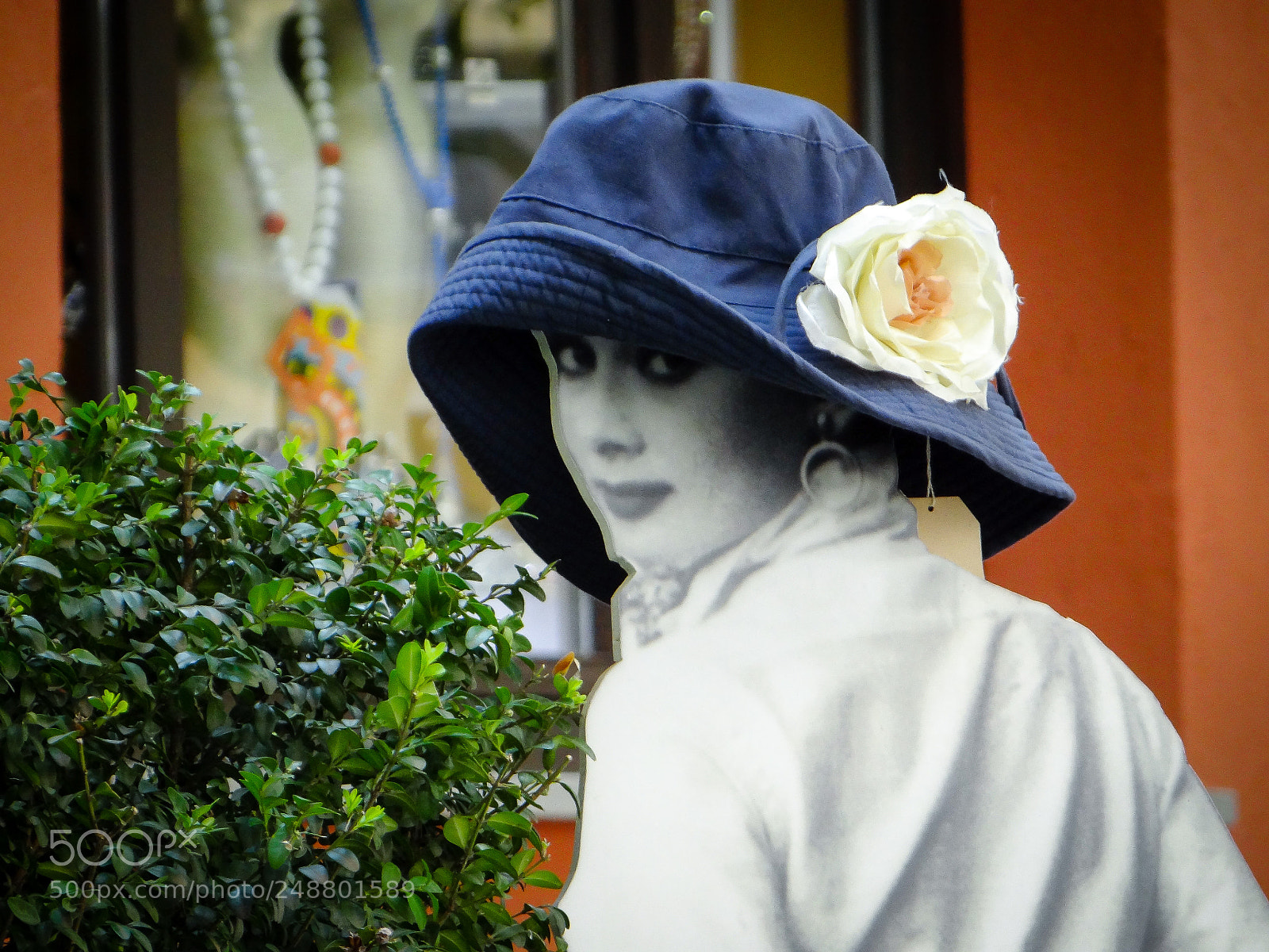 Sony Cyber-shot DSC-HX100V sample photo. Hello photography