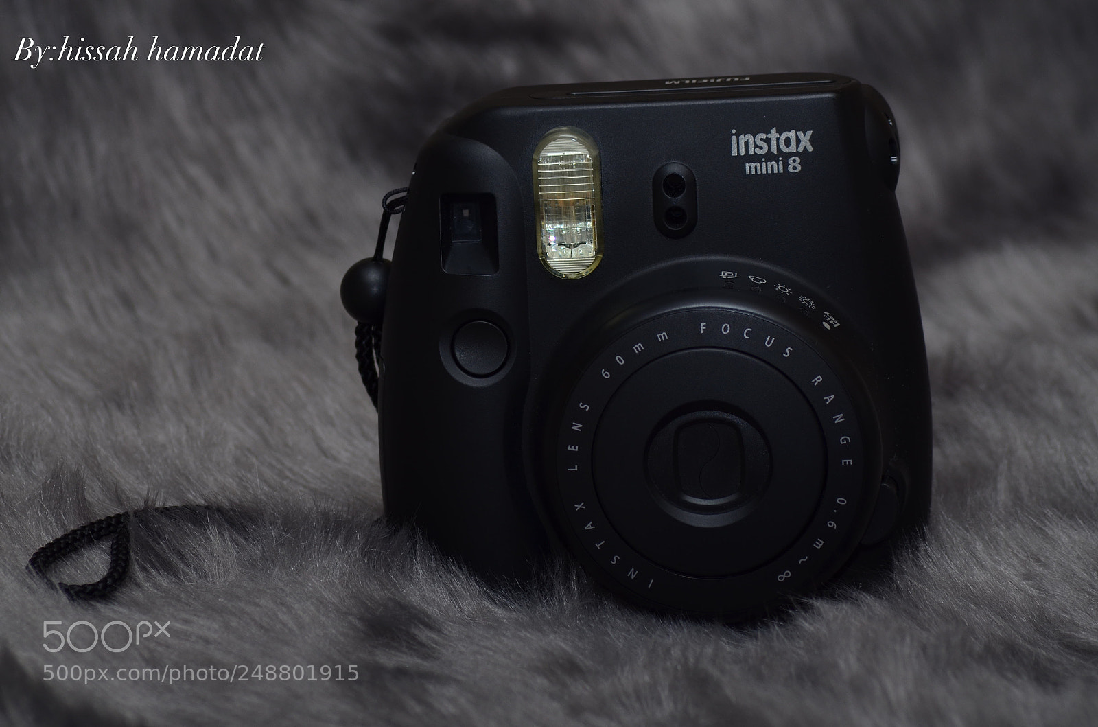 Nikon D5100 sample photo. Untitled photography