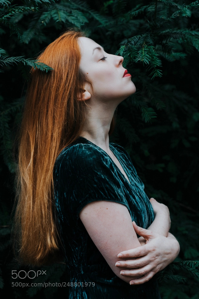 Nikon D5300 sample photo. Forest photography