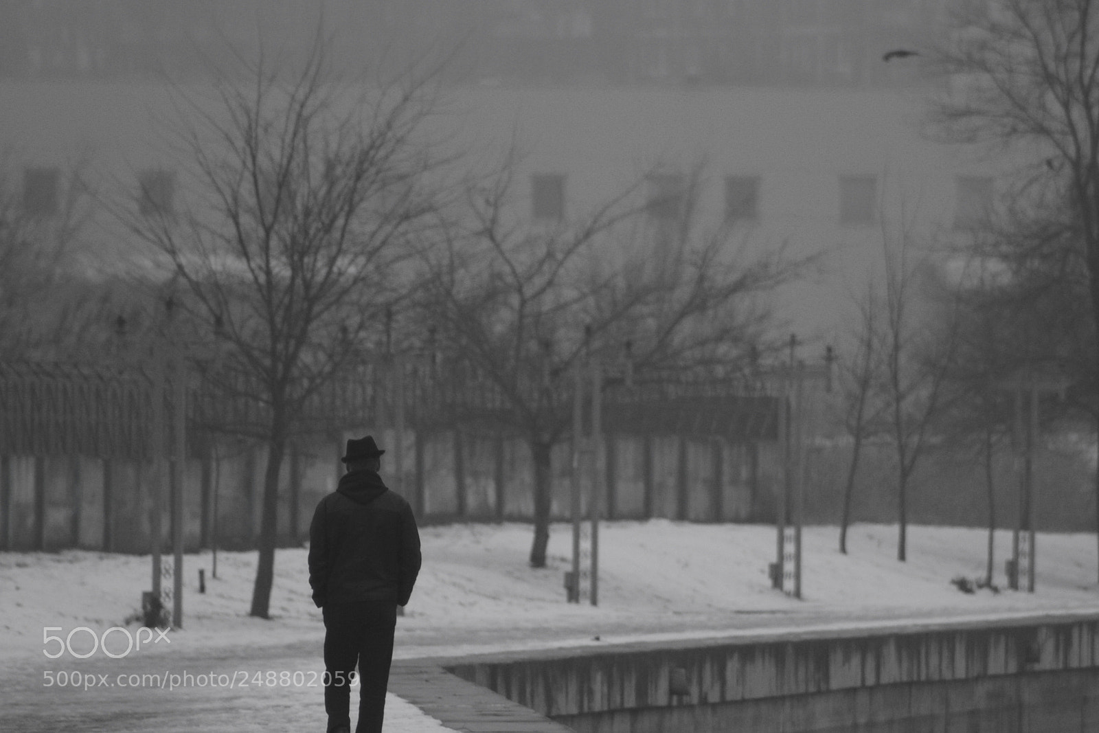 Canon EOS 60D sample photo. A long, lonely walk photography