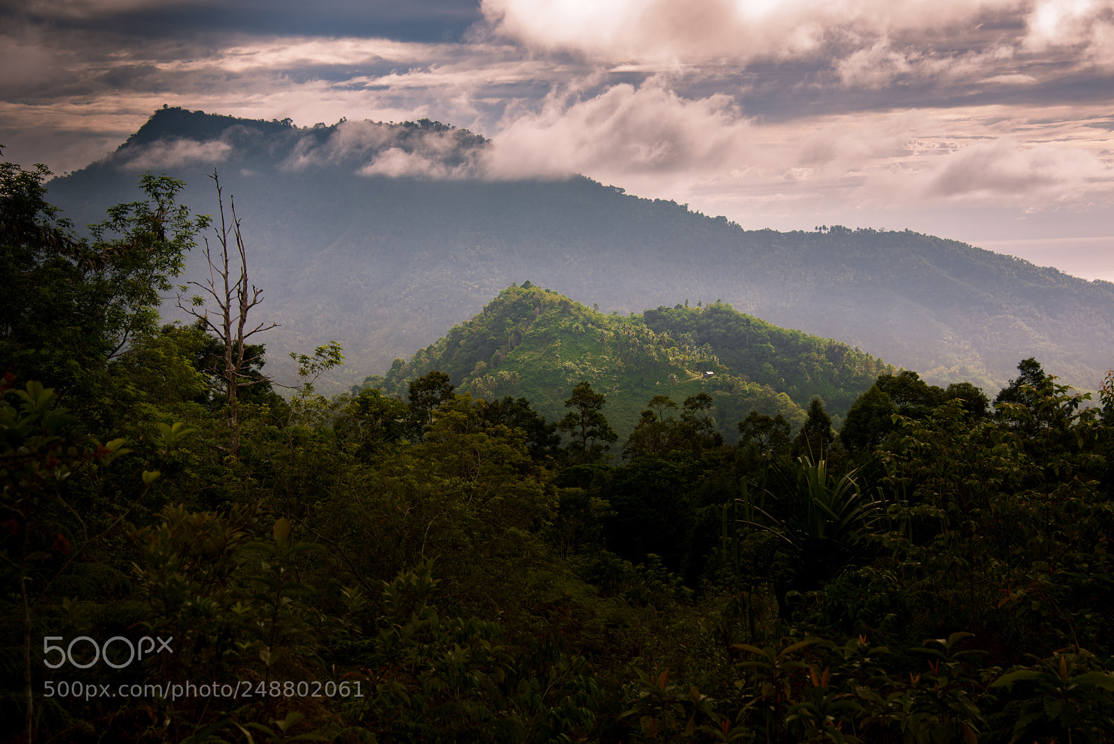 Nikon D810 sample photo. Mount hamiguitan photography