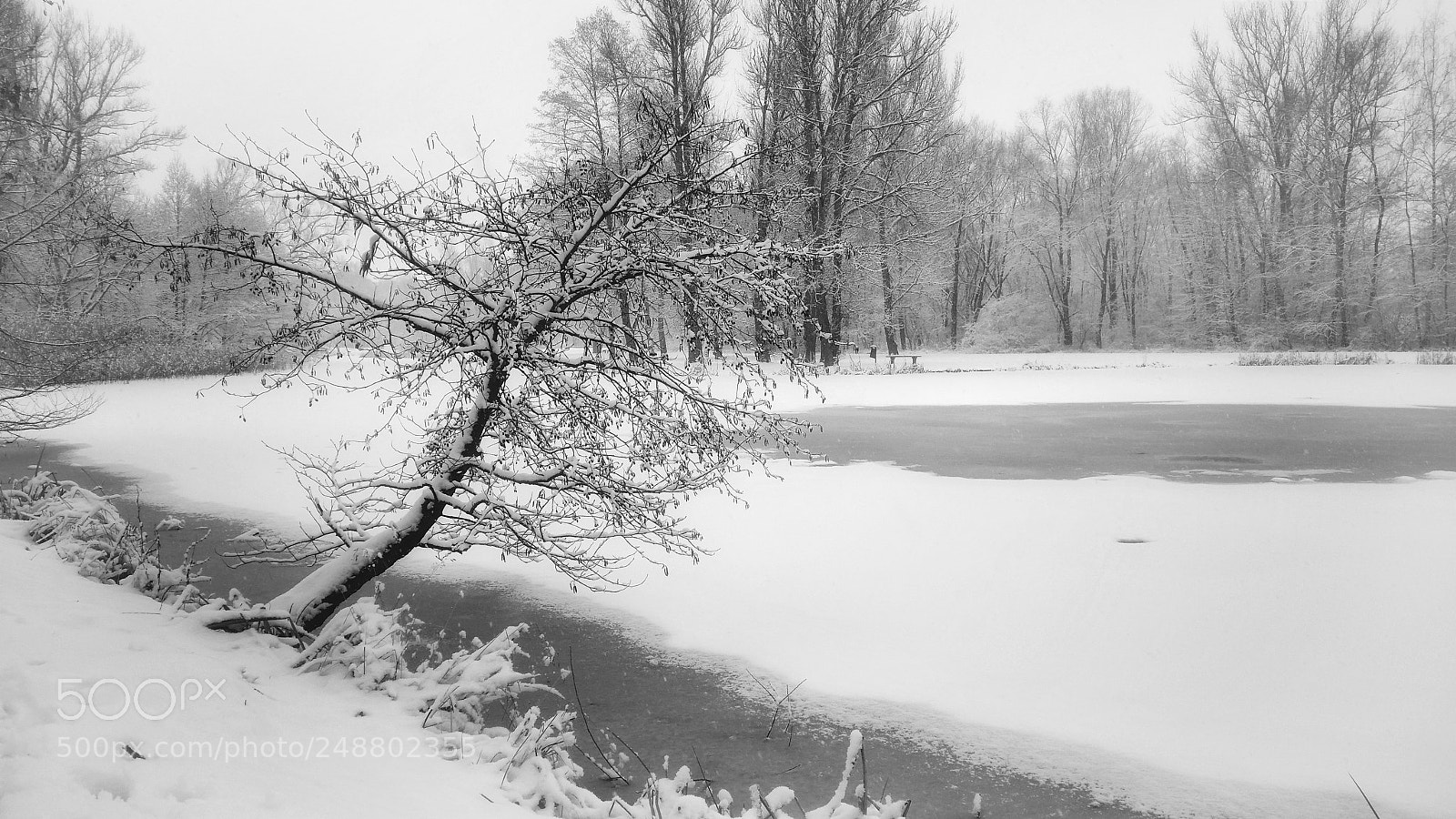 Samsung Galaxy S5 sample photo. Winter-skawina photography
