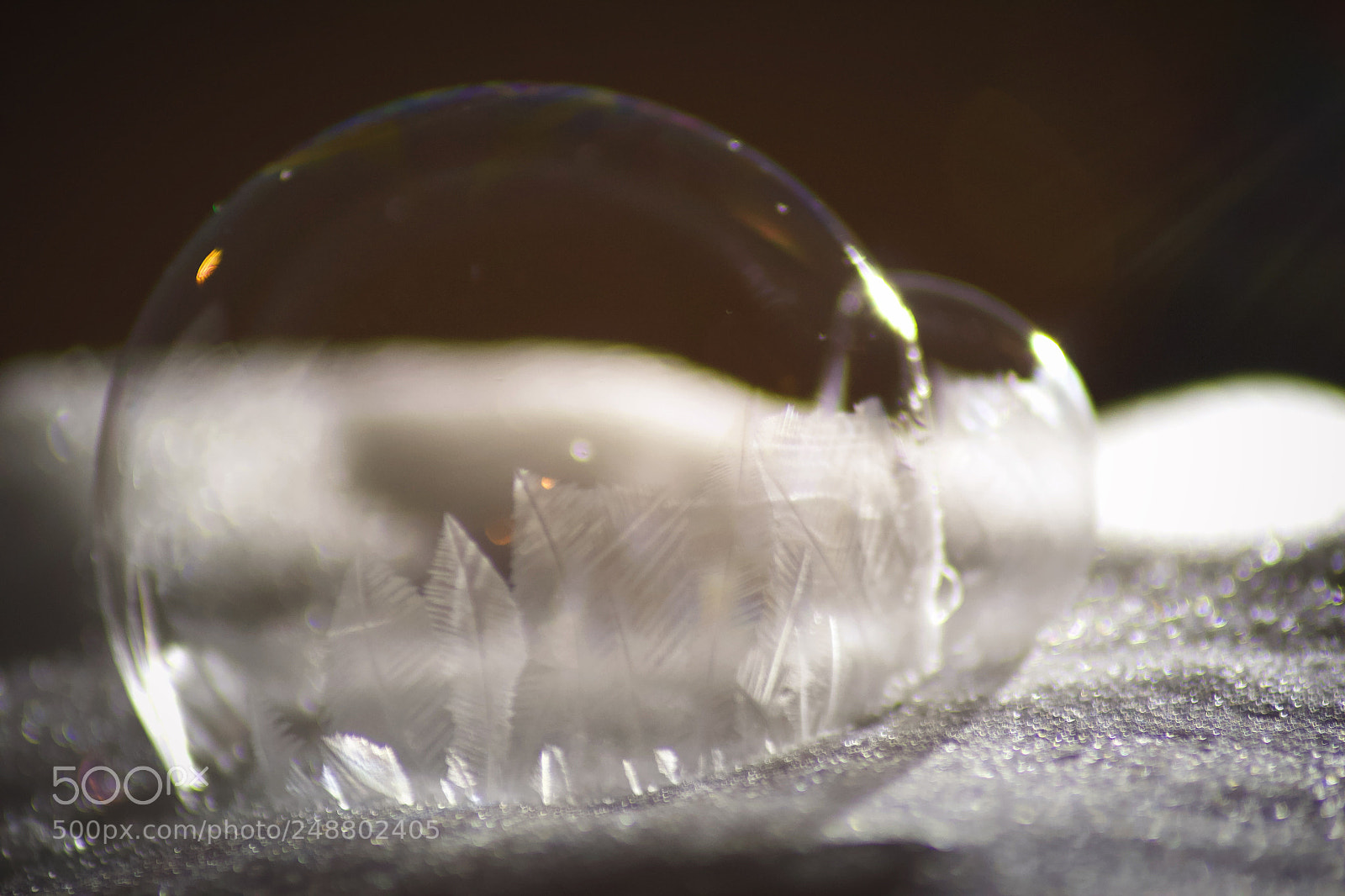 Canon EOS 600D (Rebel EOS T3i / EOS Kiss X5) sample photo. Frozen leaves photography