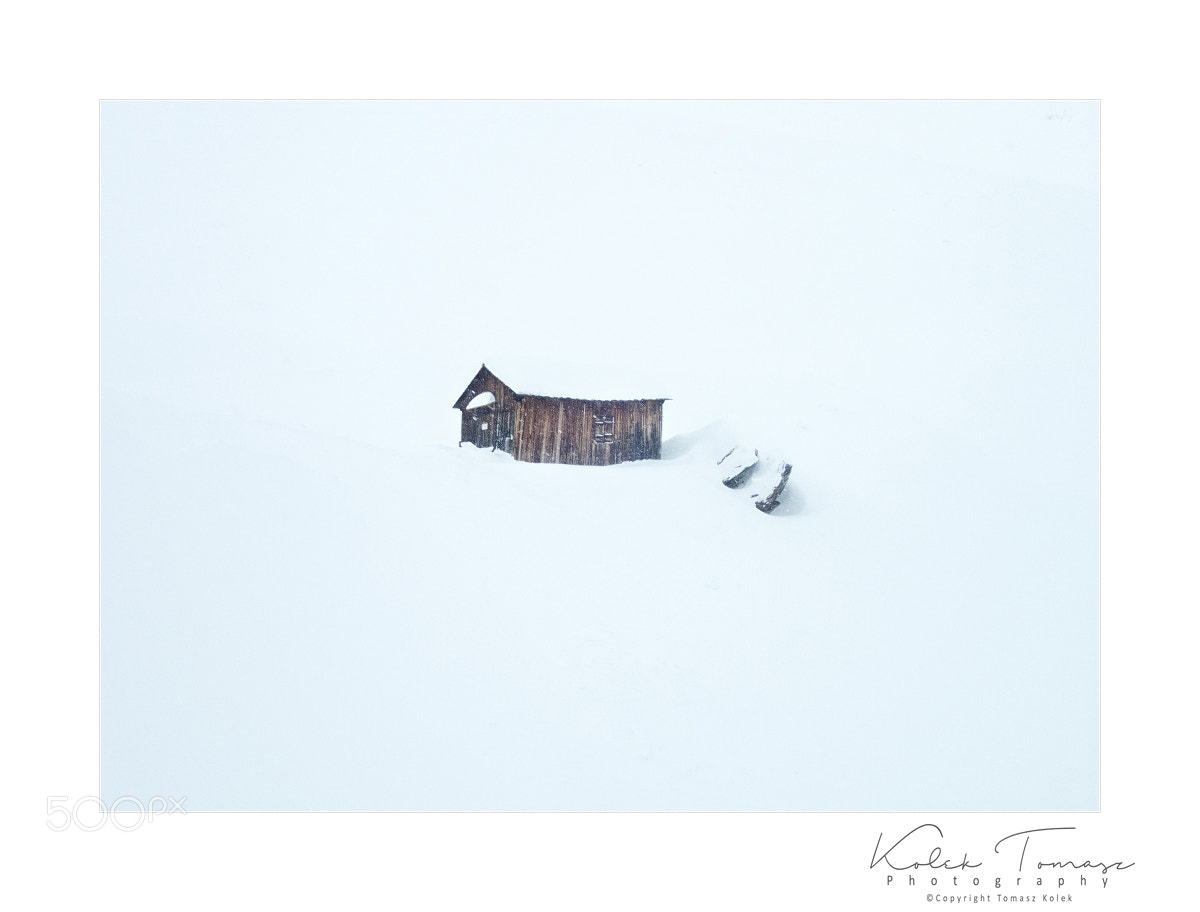 Olympus TG-4 sample photo. Snow photography
