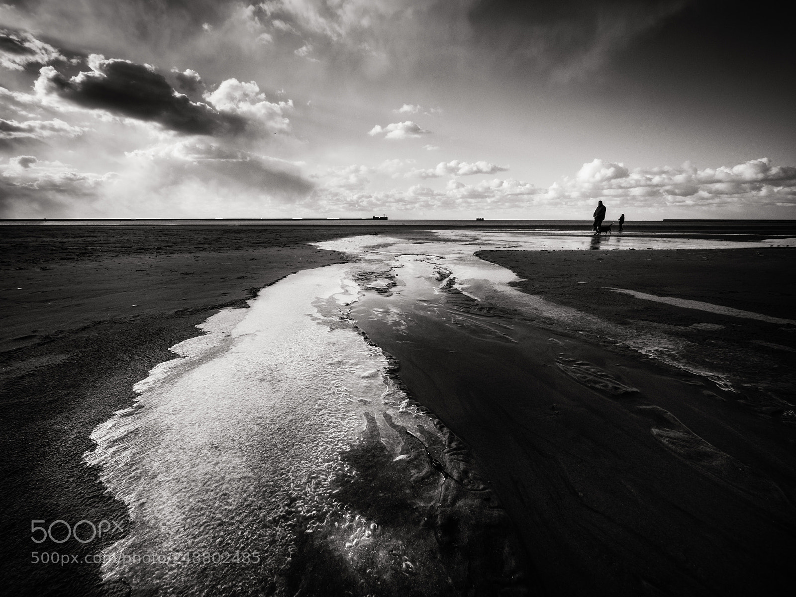 Panasonic Lumix DMC-GX8 sample photo. Frozen beach photography