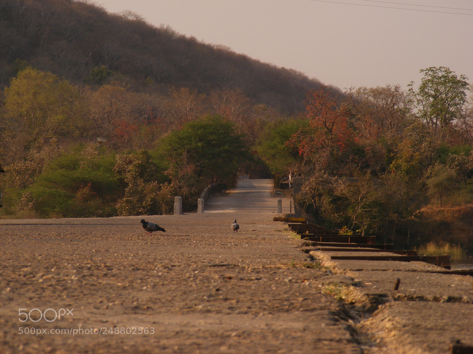 Fujifilm FinePix S5700 S700 sample photo. Nature photography