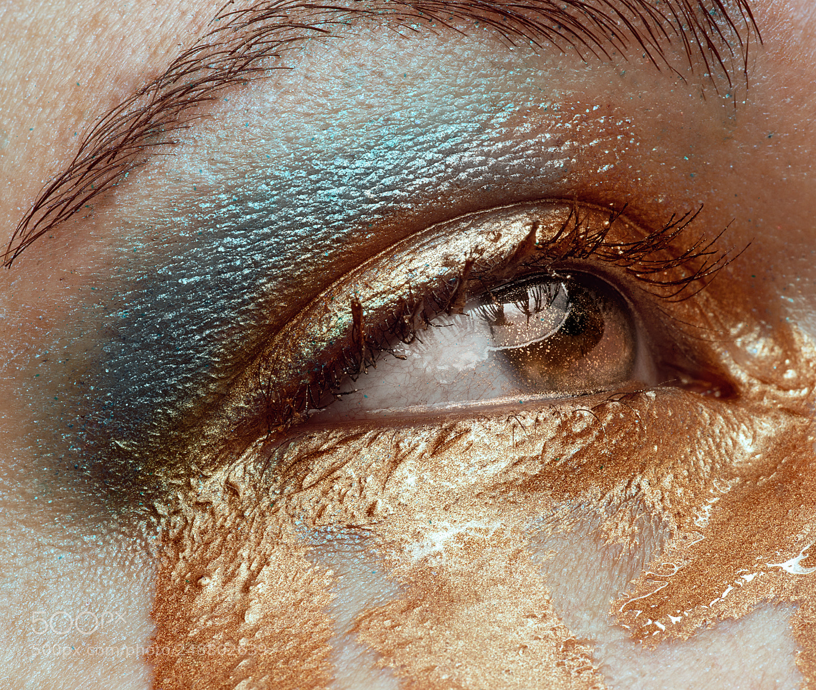 Nikon D800 sample photo. Blue and gold photography