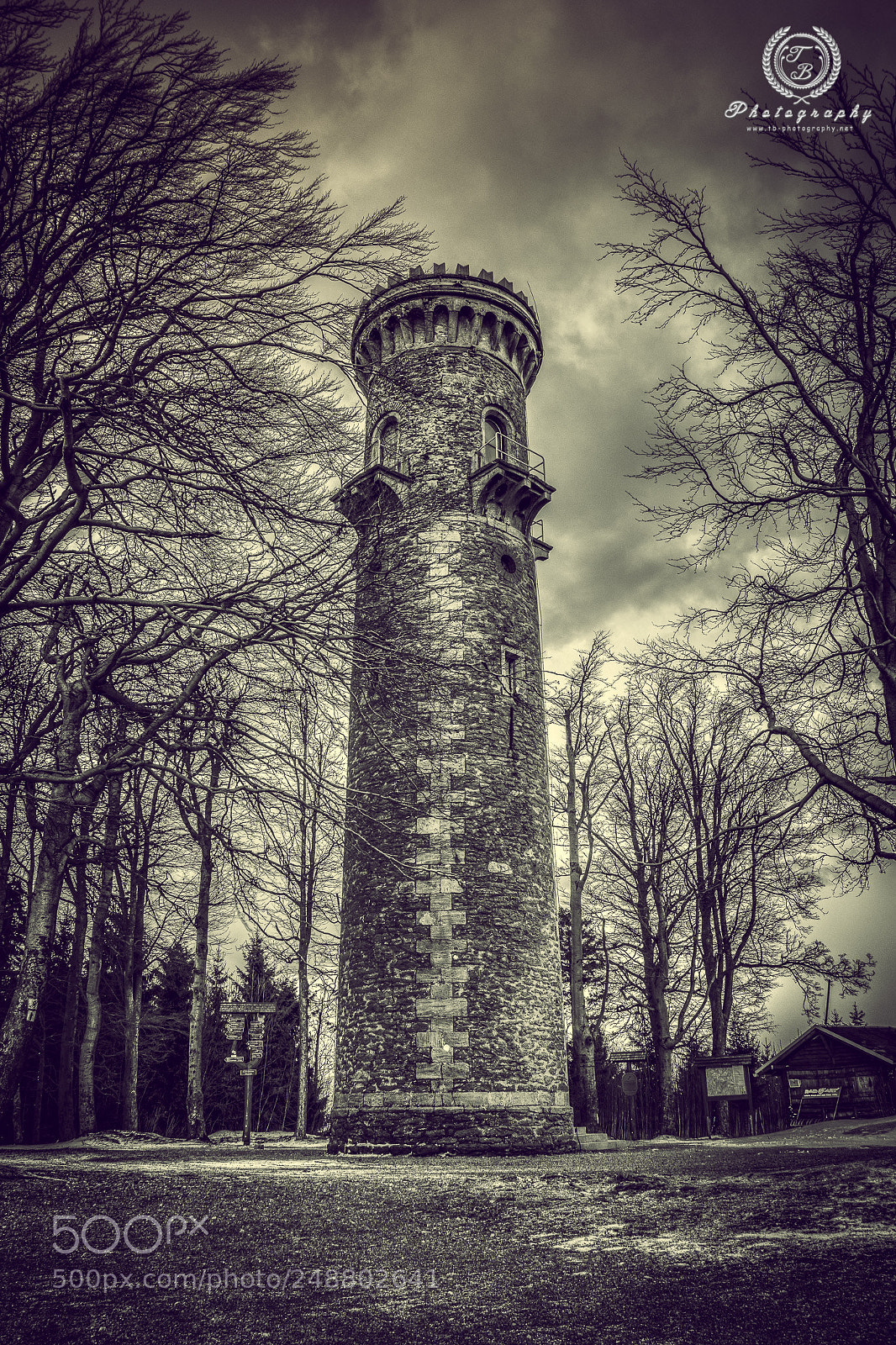 Nikon D7200 sample photo. Kickelhahn photography