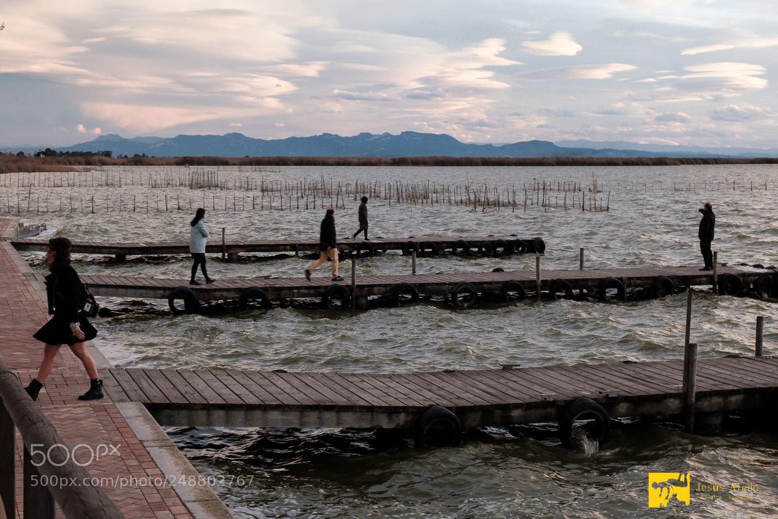 Fujifilm X-Pro2 sample photo. " opposite movement " photography