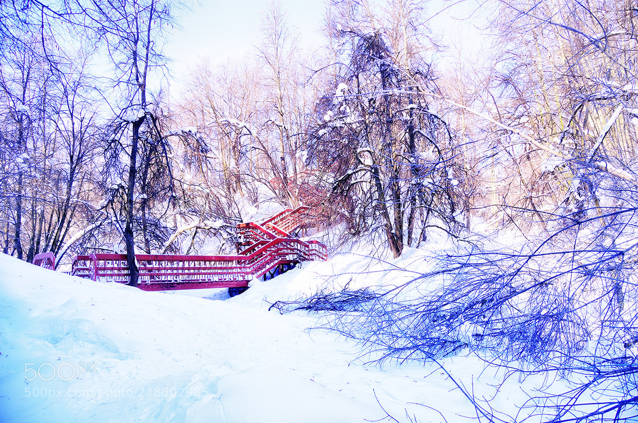 Nikon Df sample photo. Untitled photography