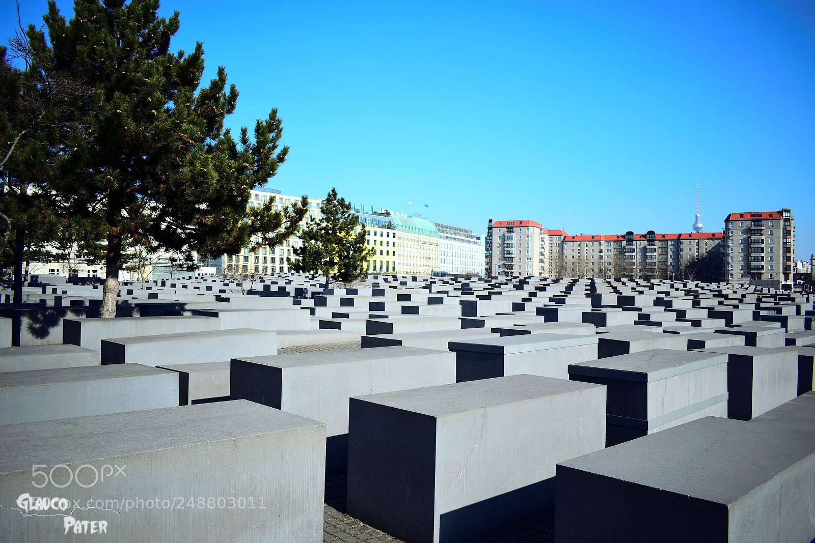 Nikon D3300 sample photo. A maze without light photography