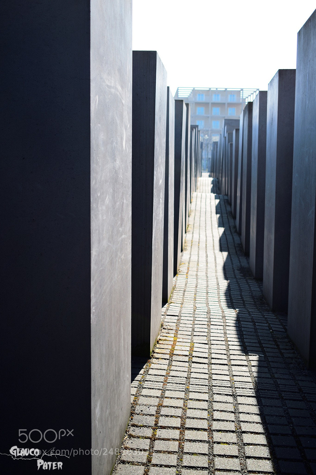 Nikon D3300 sample photo. A maze without light photography