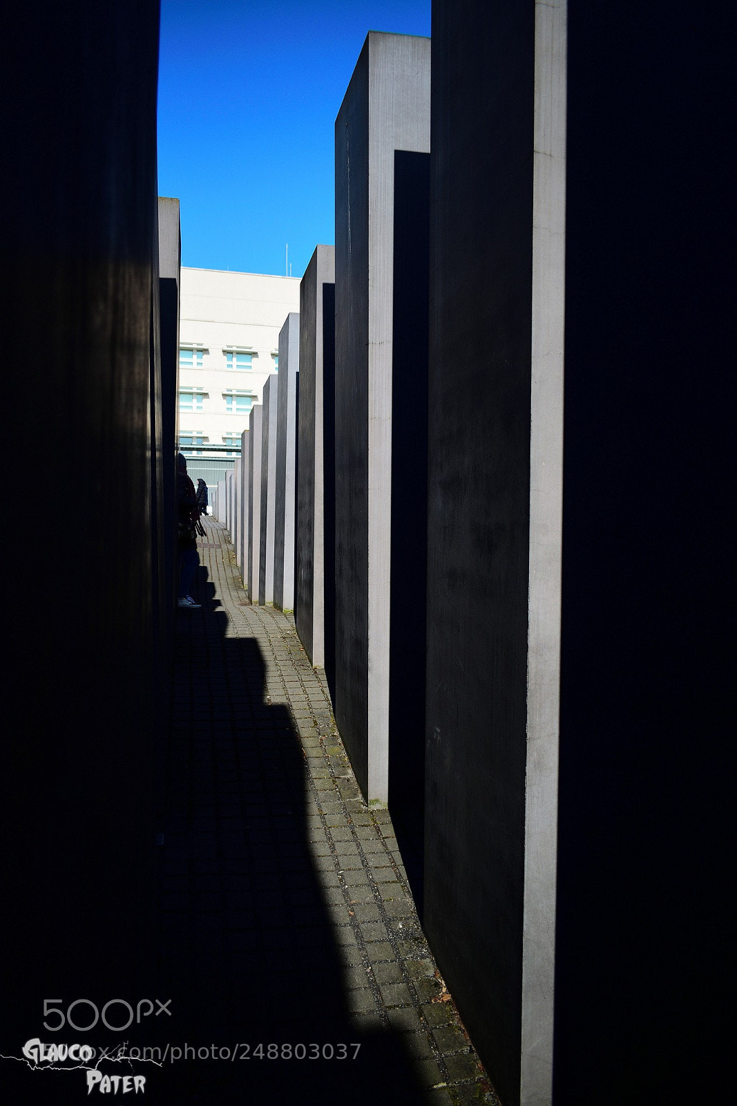 Nikon D3300 sample photo. A maze without light photography