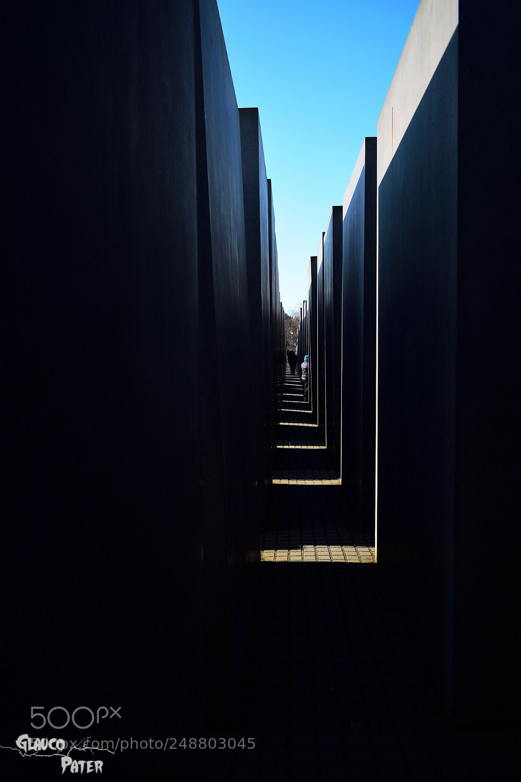 Nikon D3300 sample photo. A maze without light photography