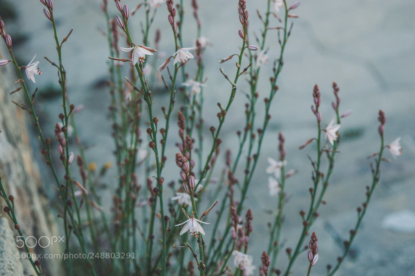 Nikon D3200 sample photo. -around the corner- photography
