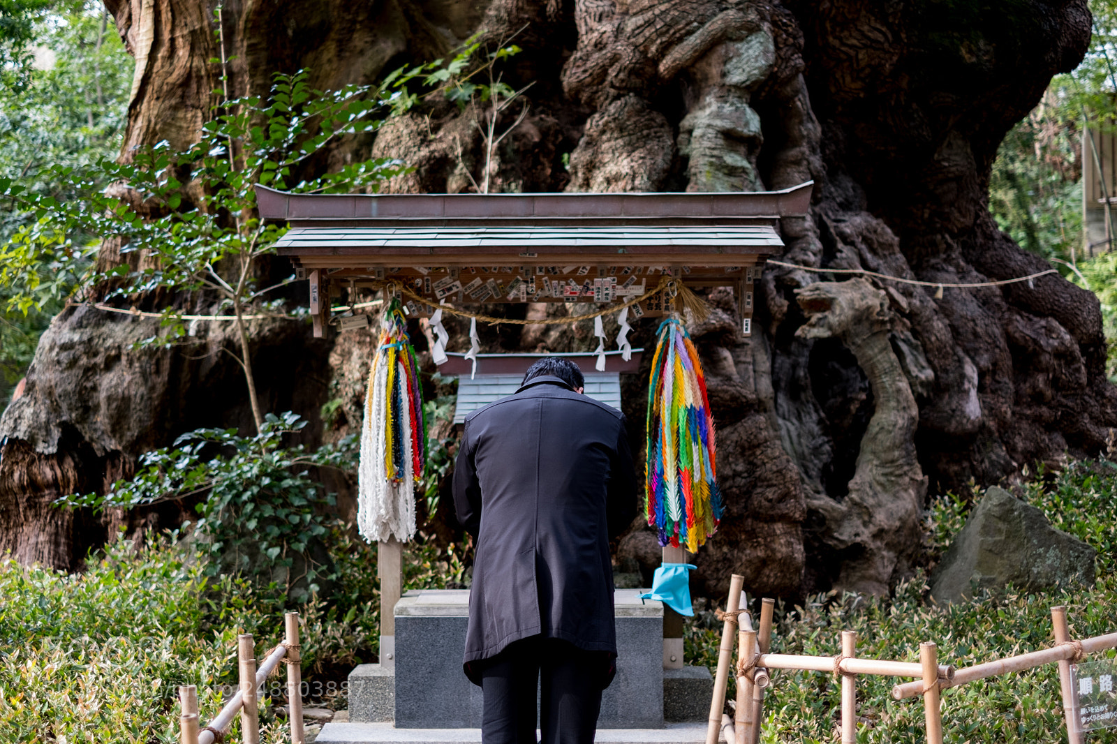 Fujifilm X-T2 sample photo. Kinomiya shinto shrine photography