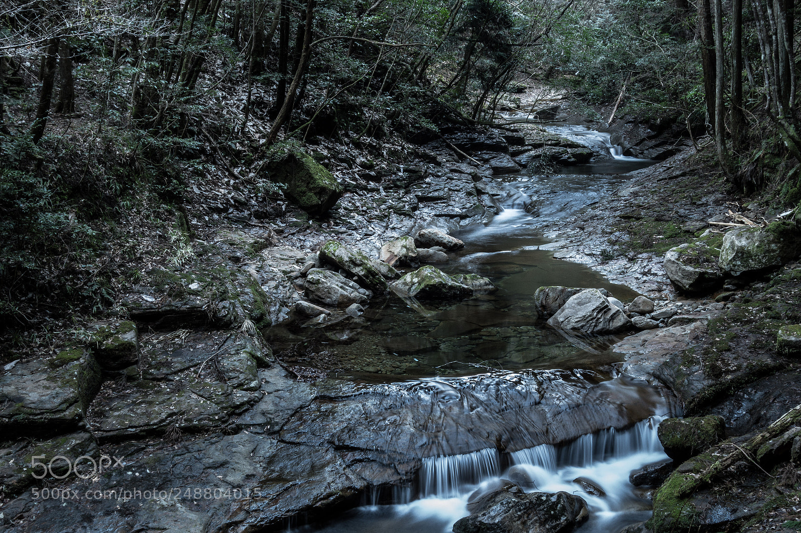 Sony Cyber-shot DSC-RX100 II sample photo. Dimmer and cold flow photography