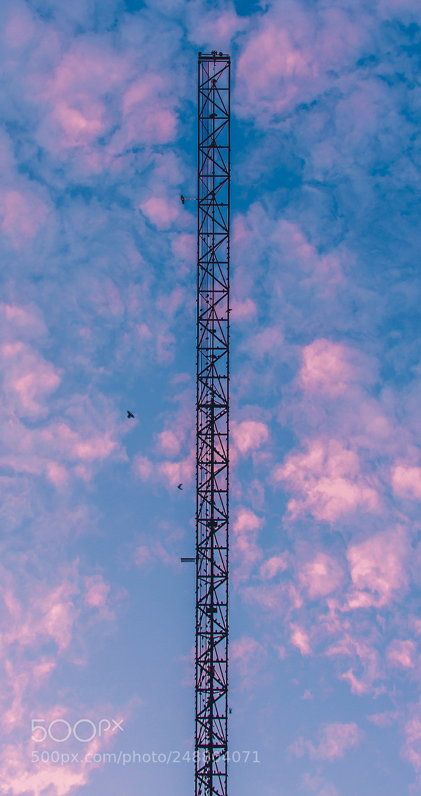 Nikon D5100 sample photo. Look up sometimes. photography