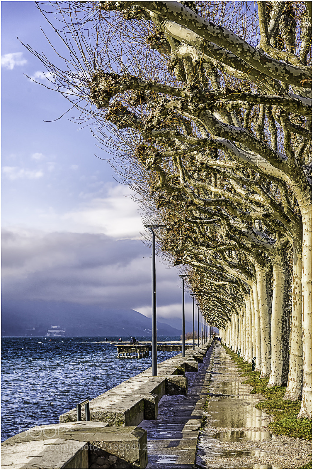 Nikon D610 sample photo. Perspective. photography