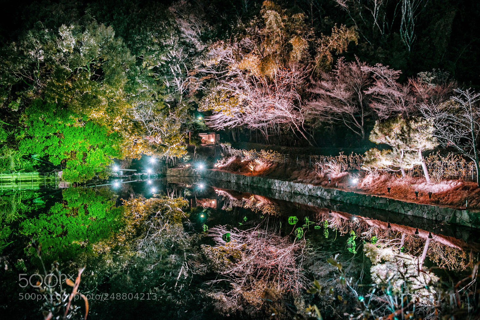 Nikon D800E sample photo. Landscapes reflected in the photography