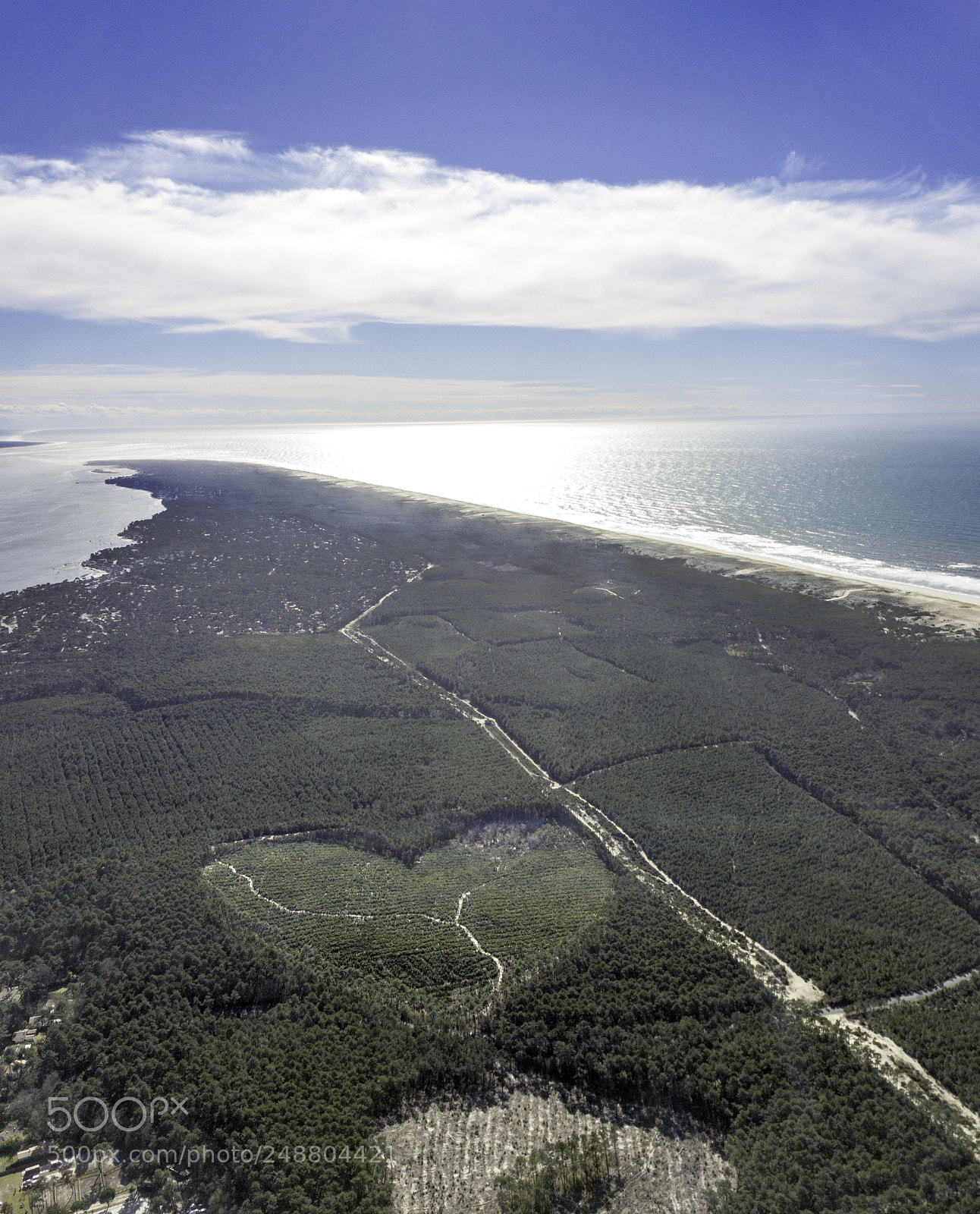 DJI FC220 sample photo. In the heart of photography