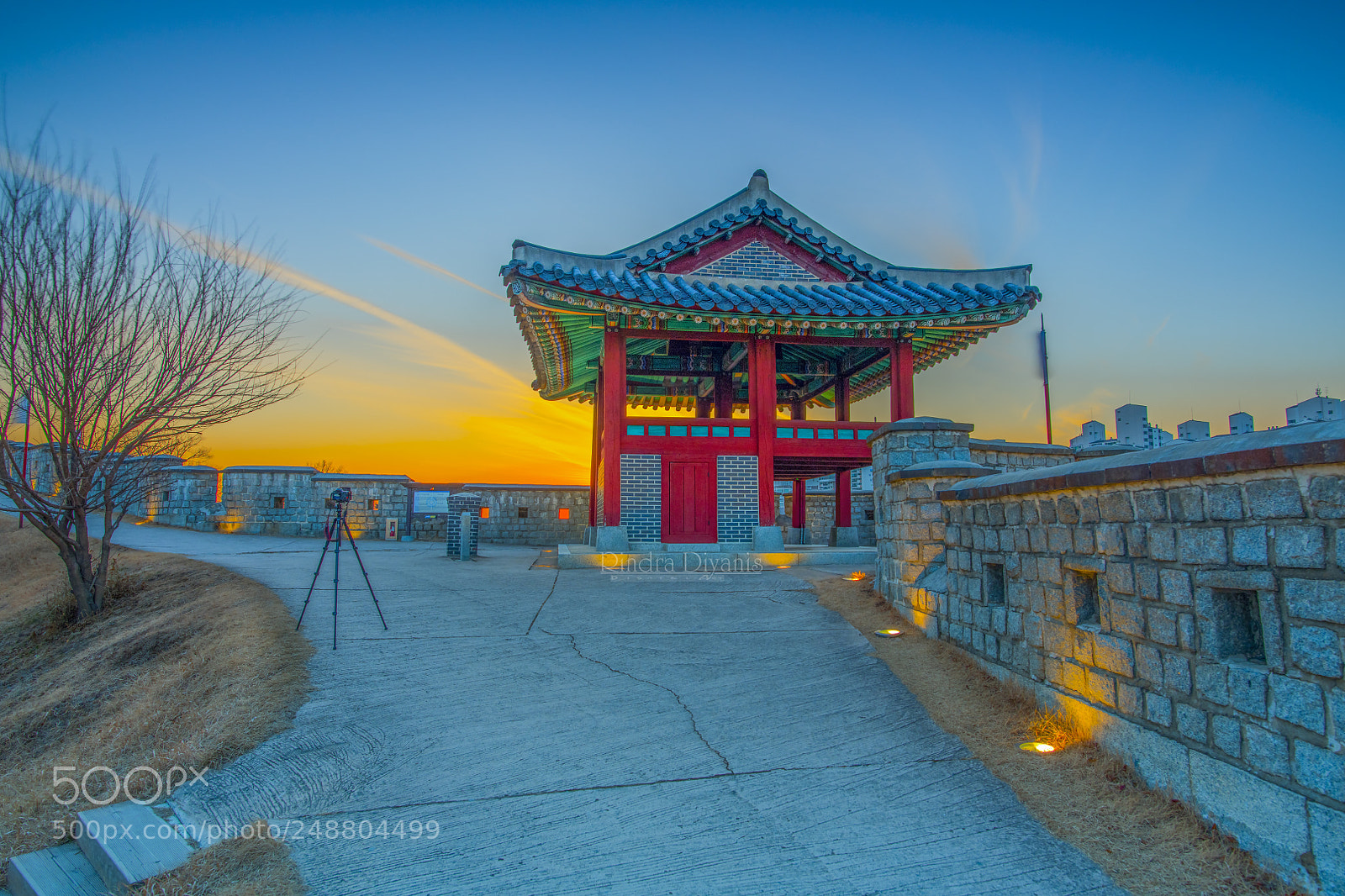 Nikon D850 sample photo. Golden hours in korea photography