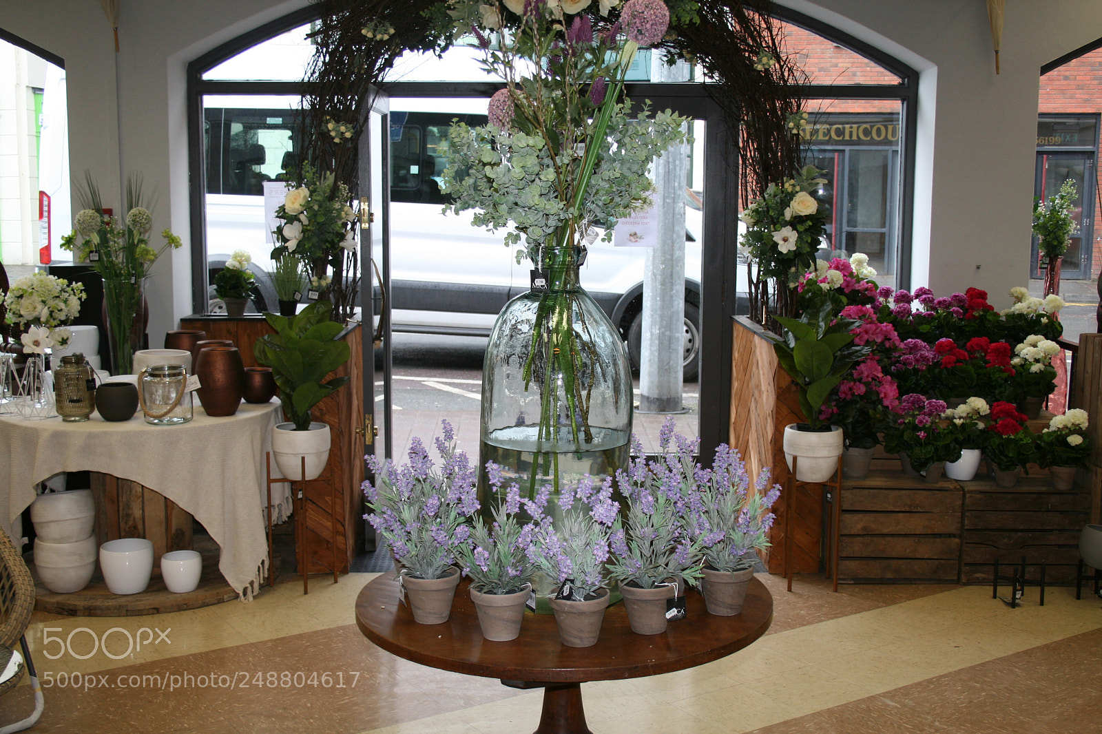 Canon EF-S 18-55mm F3.5-5.6 II sample photo. Img photography