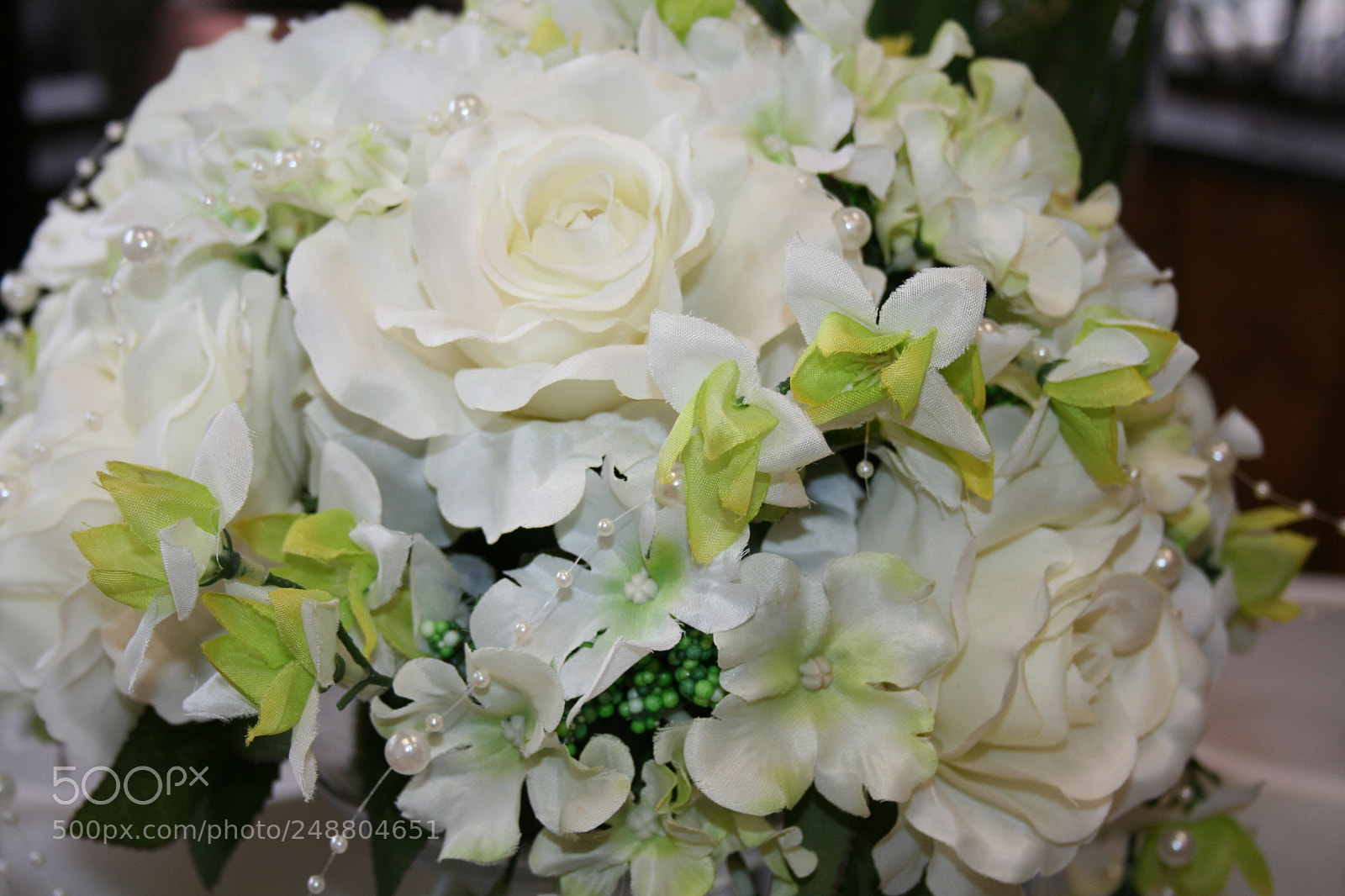 Canon EF-S 18-55mm F3.5-5.6 II sample photo. Img photography