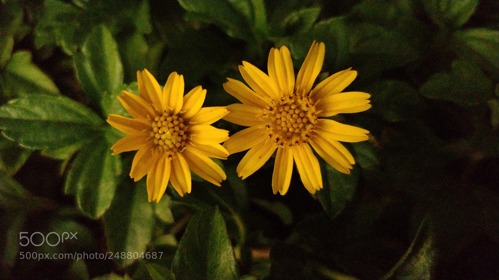 OnePlus 5 sample photo. Untitled photography