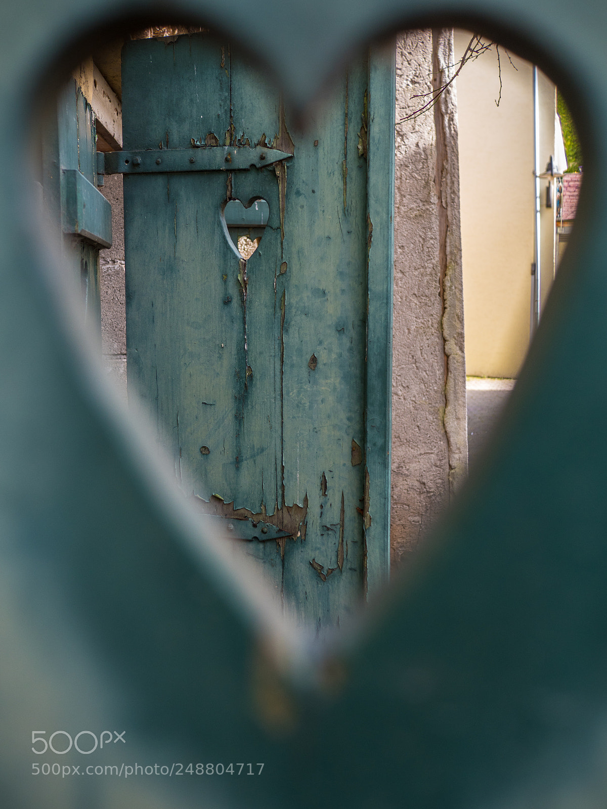 Olympus OM-D E-M5 II sample photo. The heart photography