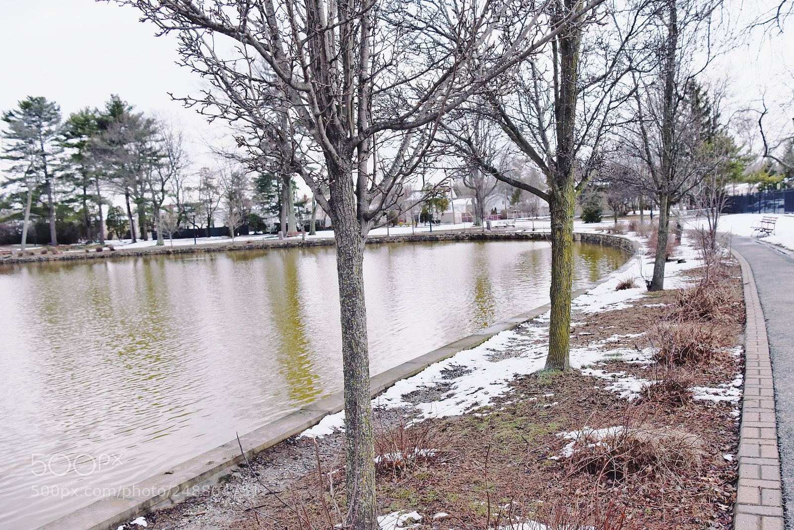 Nikon D810 sample photo. Residual snow and green photography