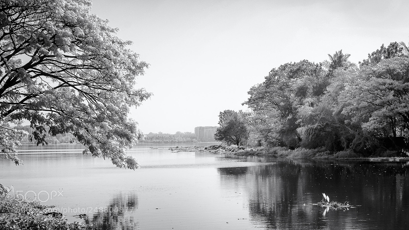 Fujifilm X-E1 sample photo. Landscape bw ir photography
