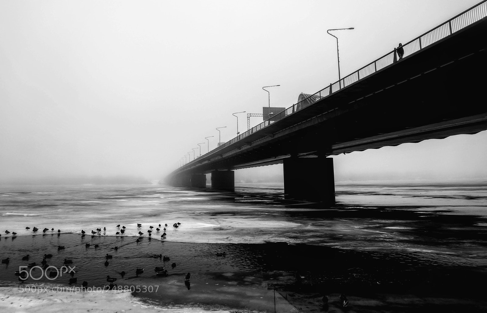 Sony Alpha NEX-6 sample photo. Fog photography