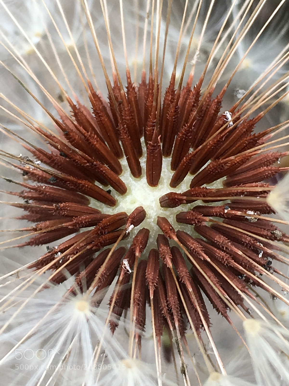 Apple iPhone 6s sample photo. Fireworks photography