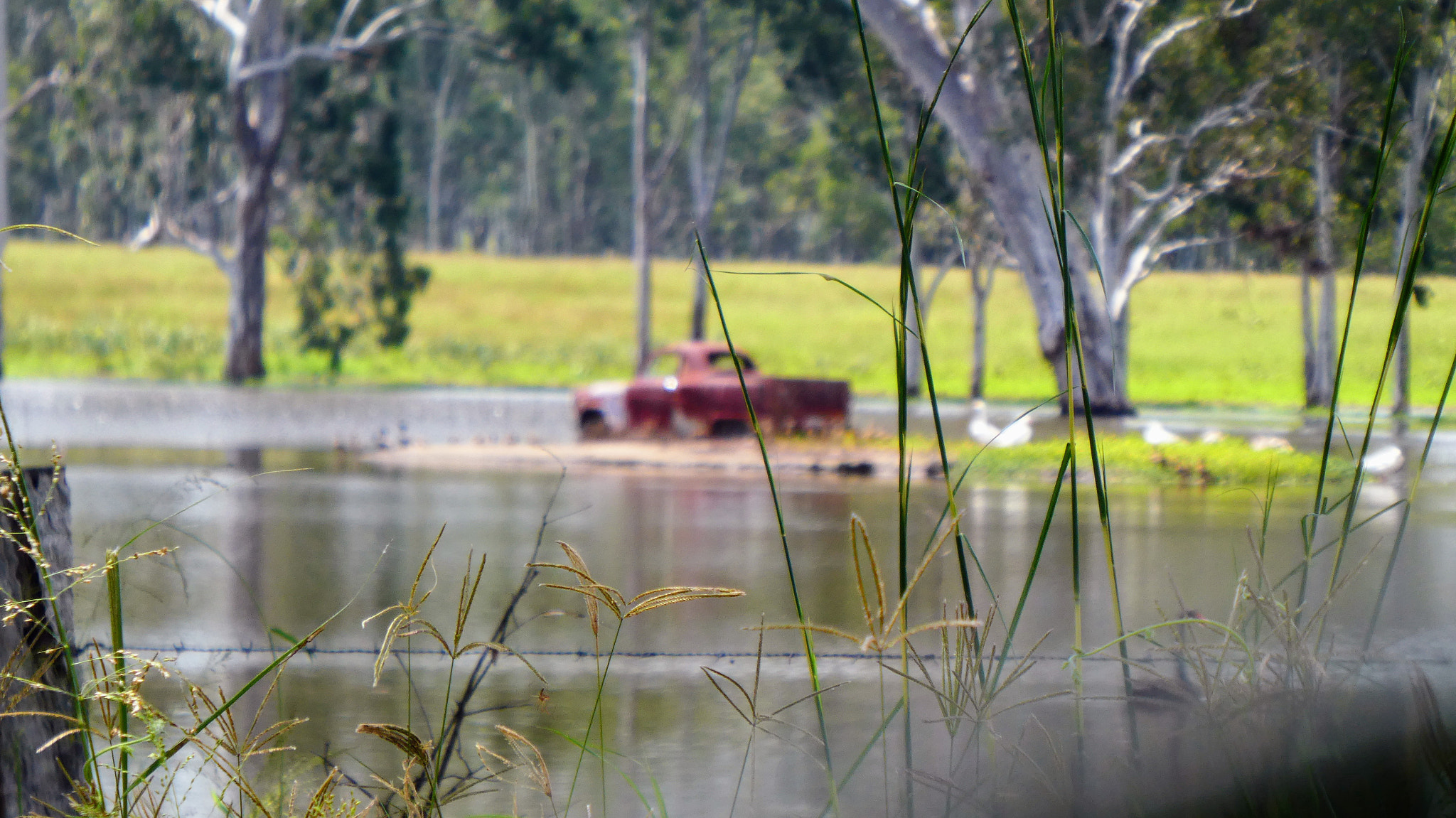 Panasonic Lumix DMC-ZS60 (Lumix DMC-TZ80) sample photo. Old holden on an island photography