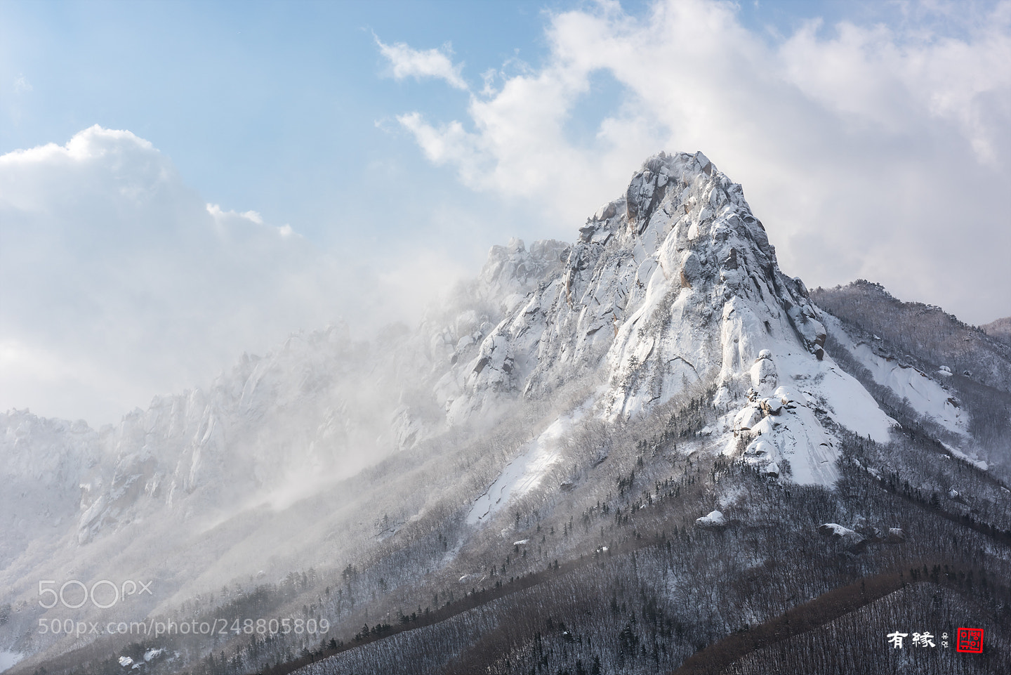 Nikon D810 sample photo. . photography