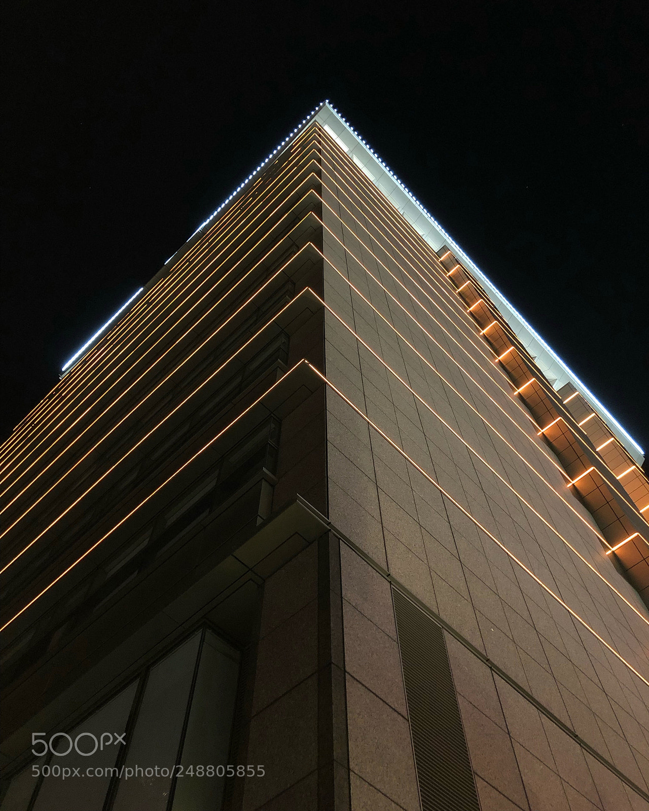 Apple iPhone 8 Plus sample photo. Untitled photography