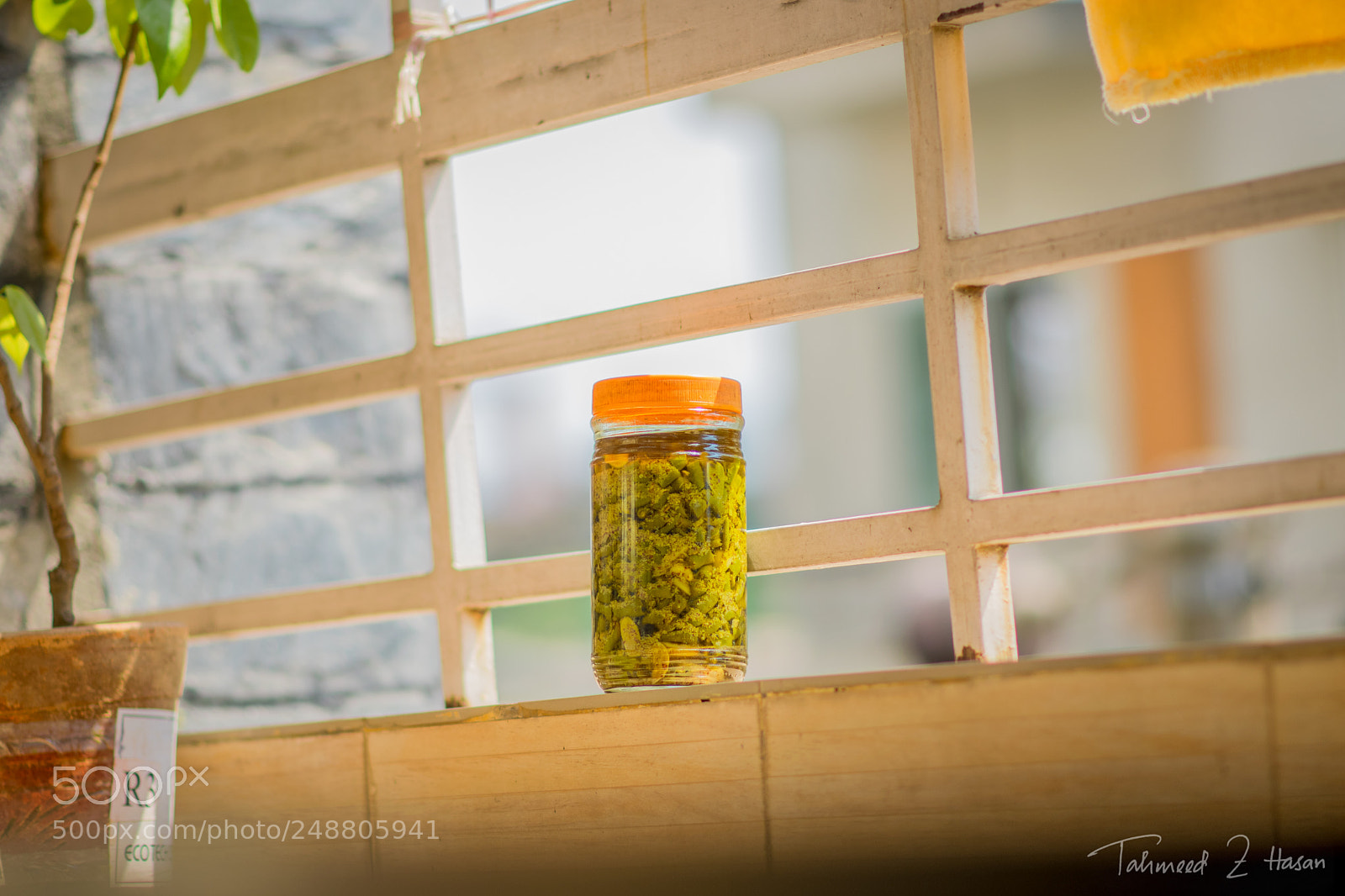 Nikon D5300 sample photo. Pickle photography