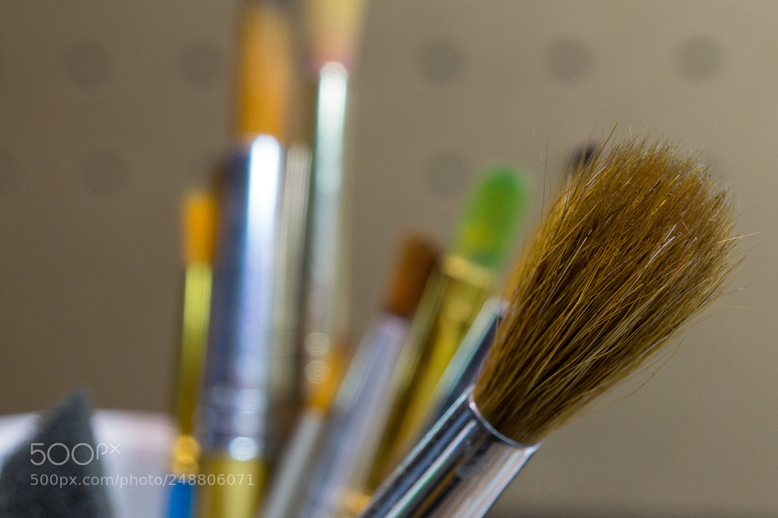 Sony a6000 sample photo. Brush photography