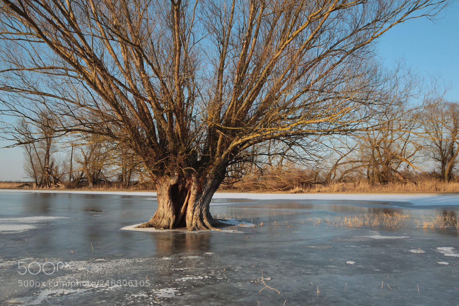 Canon EOS-1D Mark IV sample photo. Untitled photography