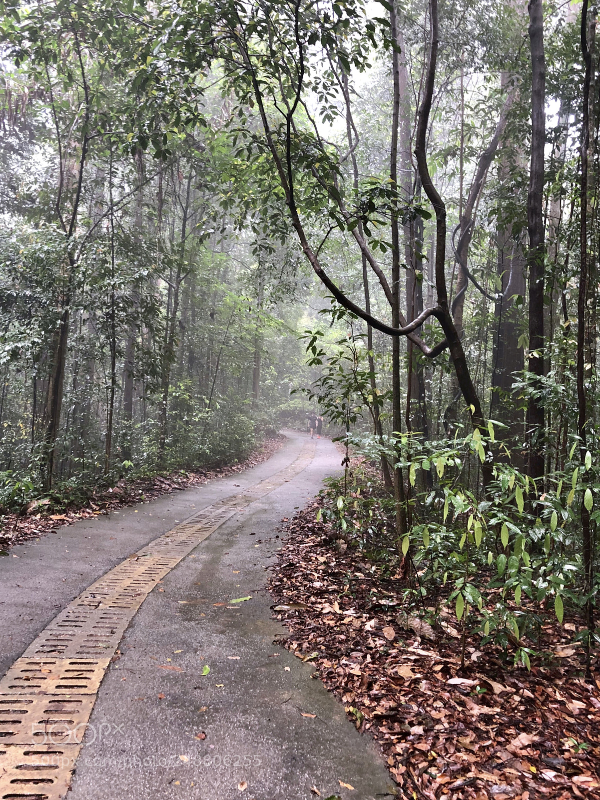 Apple iPhone 8 Plus sample photo. Rare sight of mountain photography