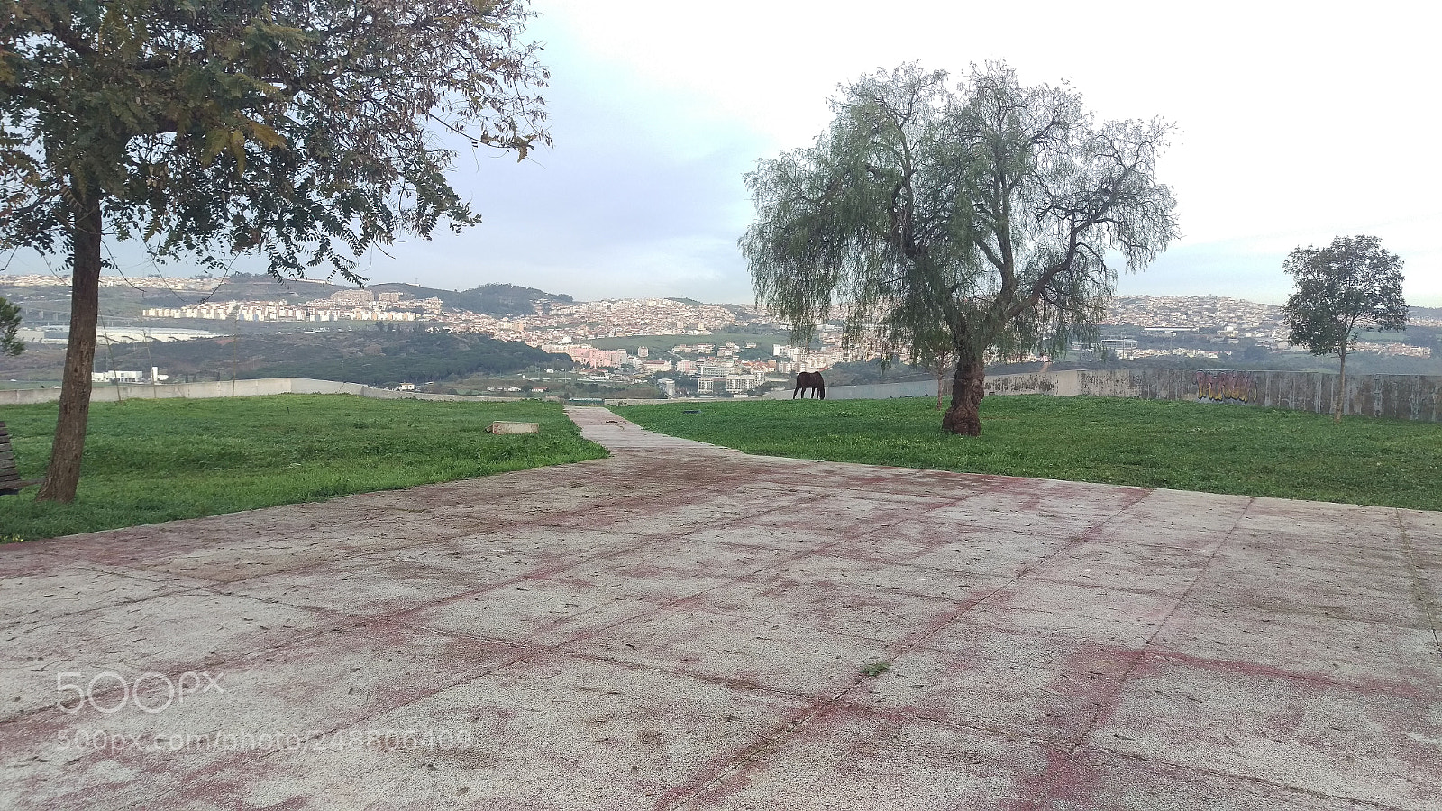 HTC ONE M9 sample photo. The beautiful life of photography