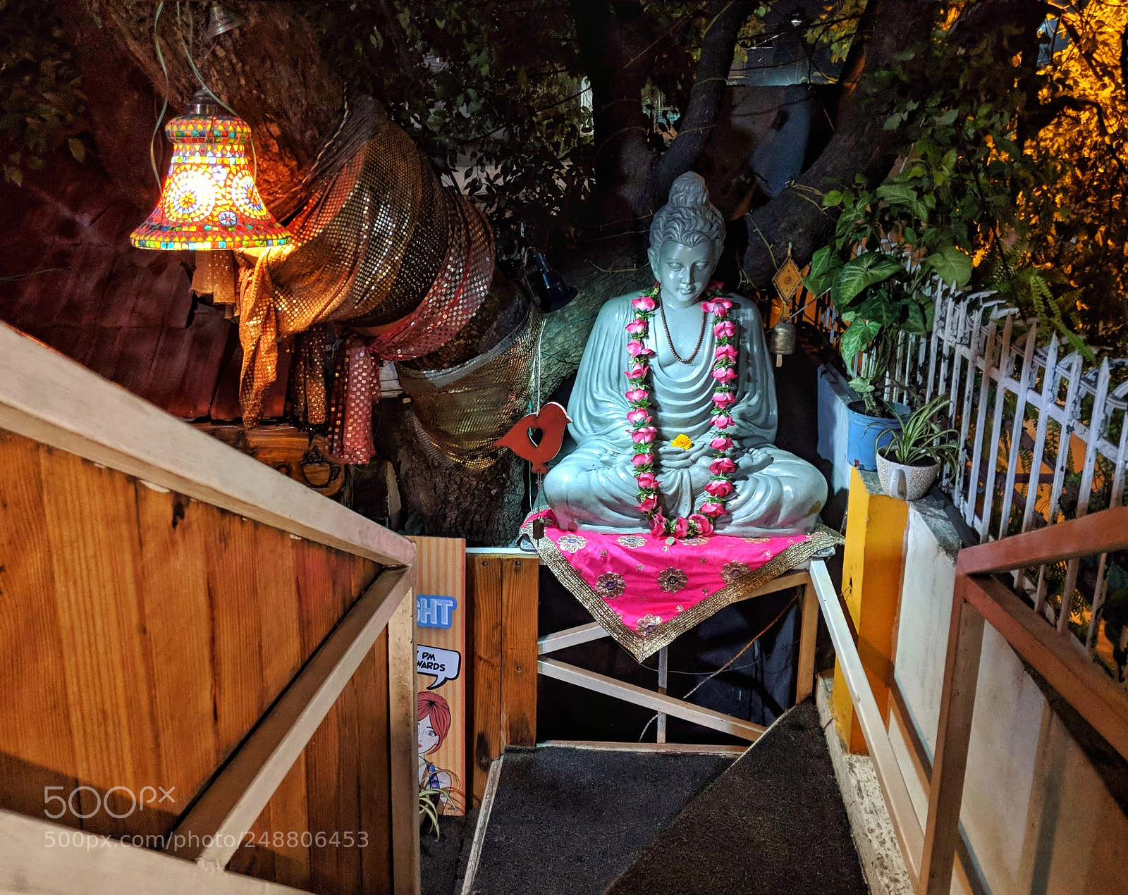 Google Pixel 2 sample photo. A trance in itself photography