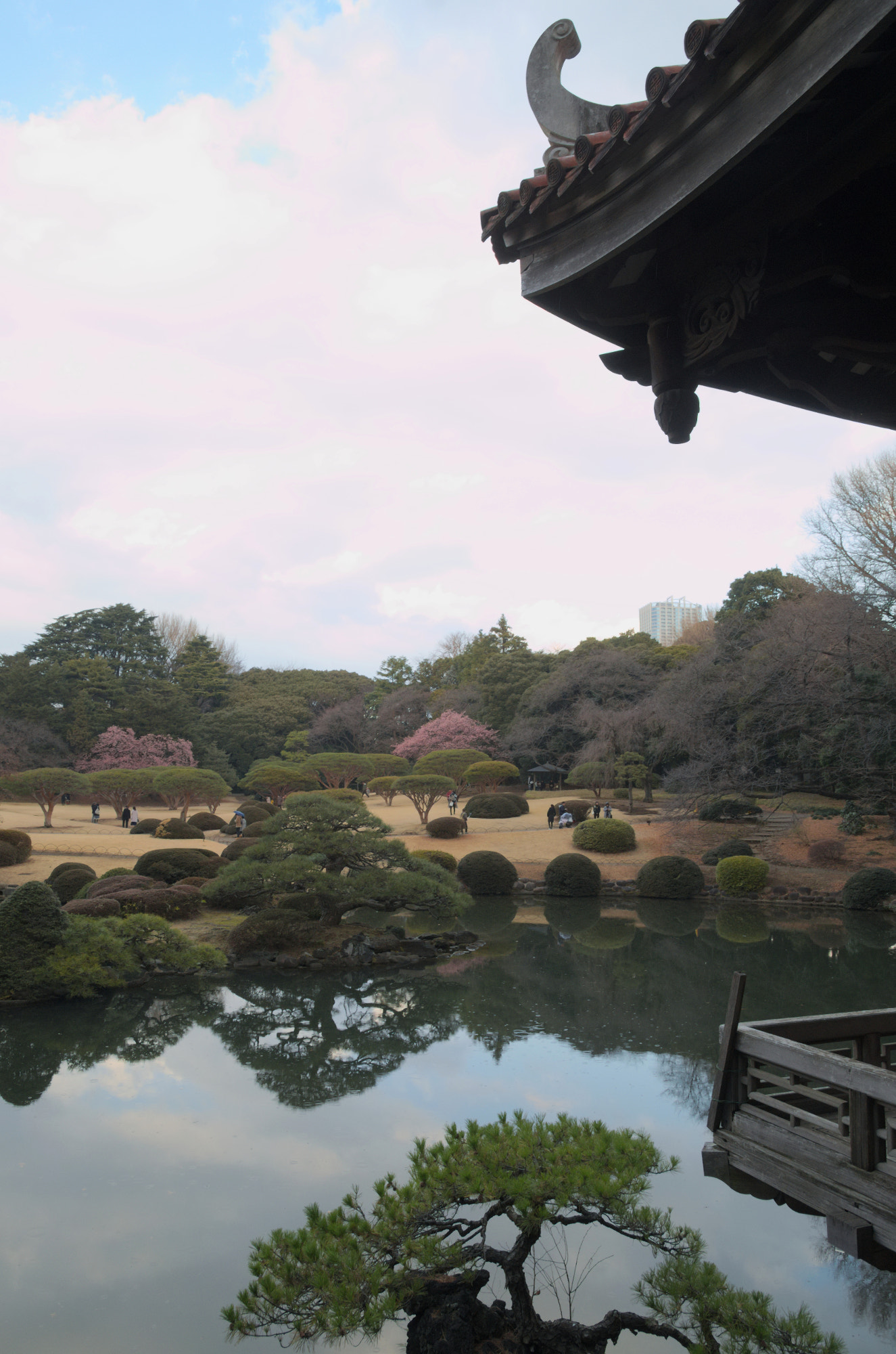 Nikon D7000 sample photo. Shinjuku garden photography