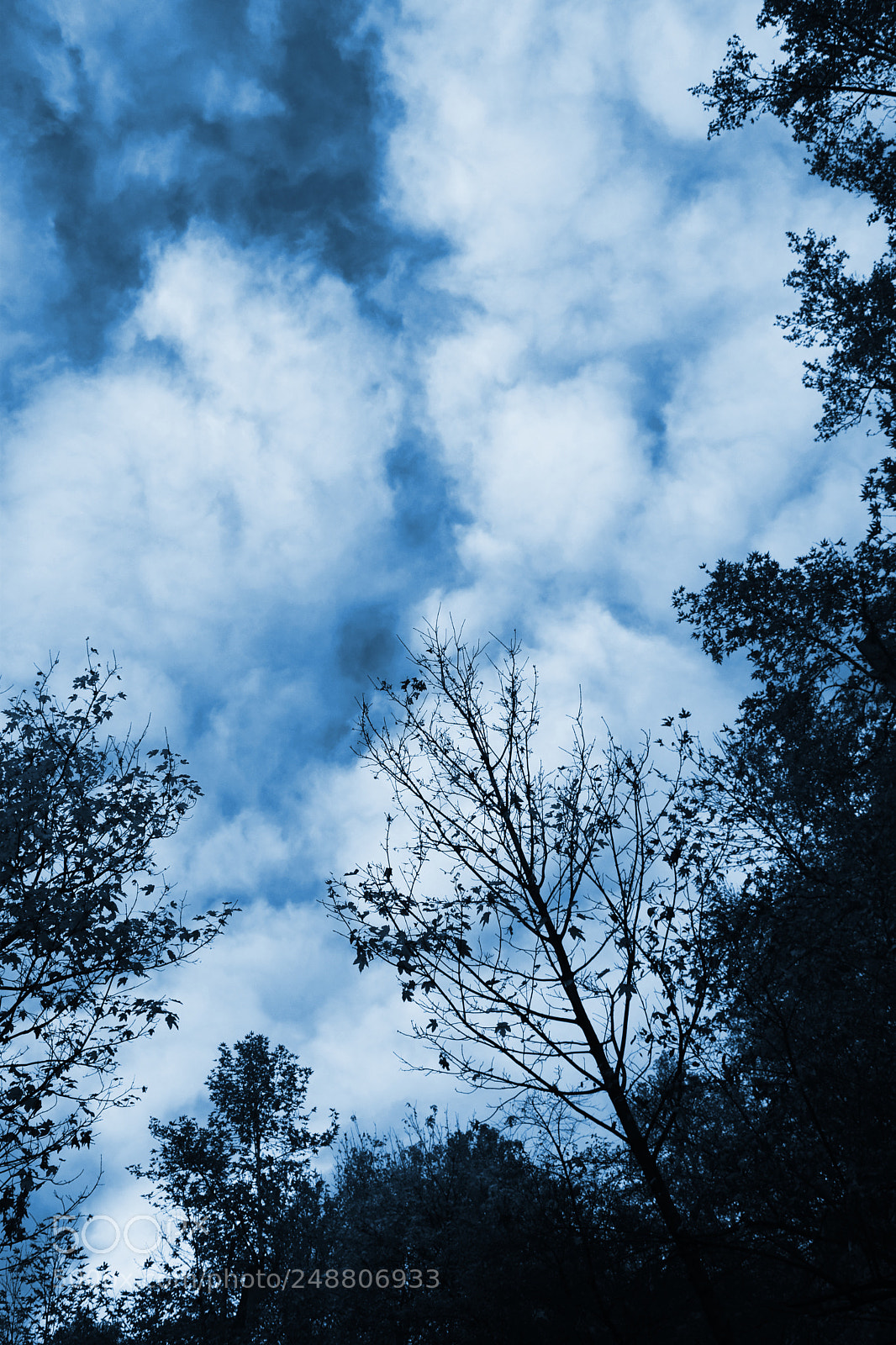 Nikon D5300 sample photo. Heavenward photography