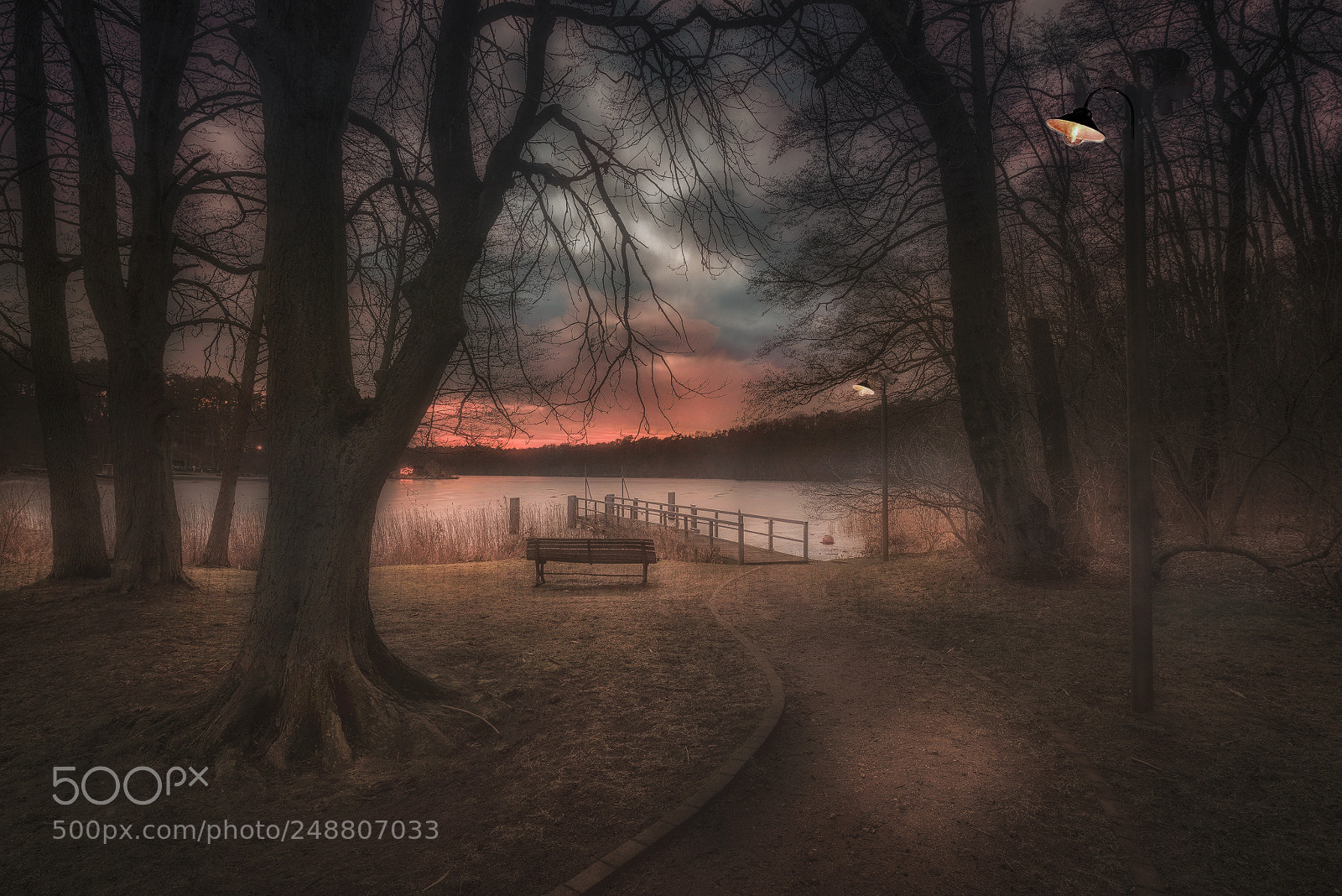 Nikon D810 sample photo. Misty photography